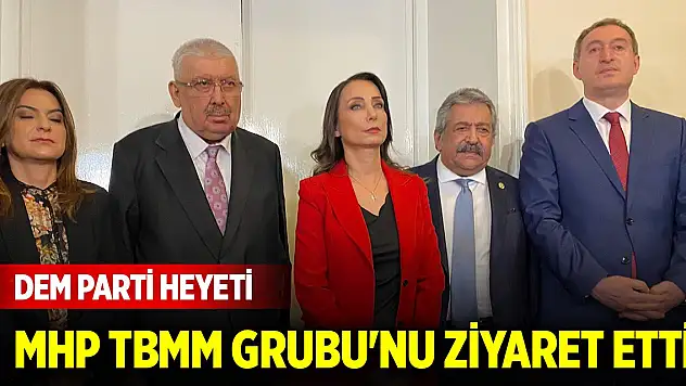 DEM Parti heyeti, MHP TBMM Grubu'nu ziyaret etti... Karşılıklı açıklamalar