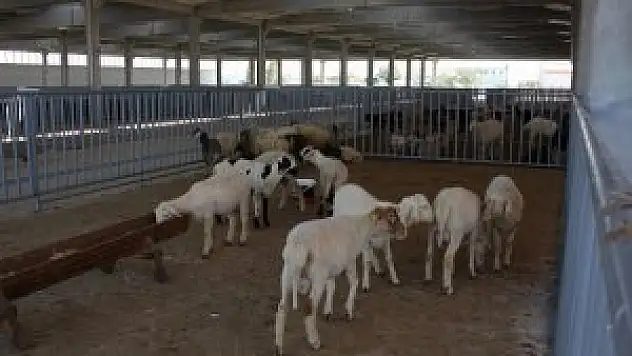 Karatay'da kurban satış ve kesim yerleri belirlendi