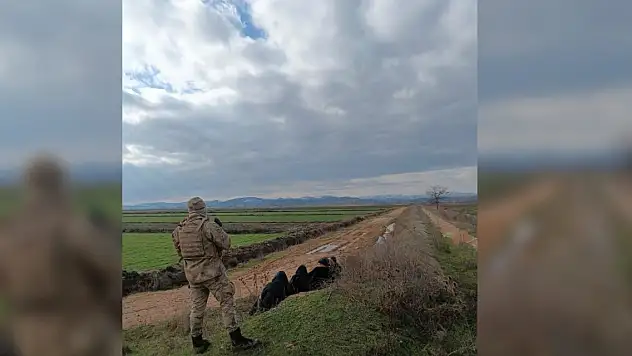 Bakan Yerlikaya duyurdu! Yurt dışına kaçmaya çalışan 25 şüpheli yakalandı
