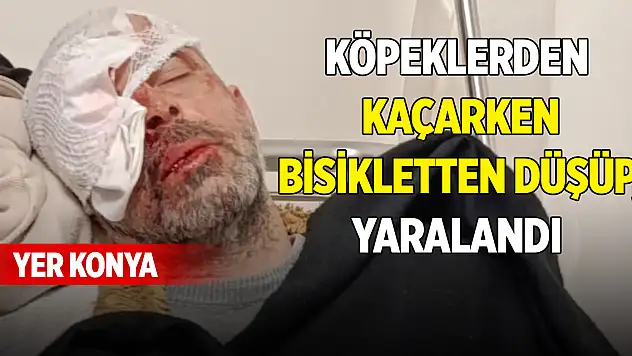 Yer Konya... Köpeklerden kaçarken bisikletten düşüp, yaralandı