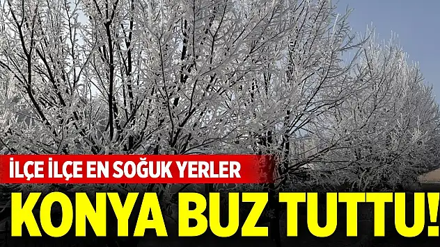 Konya buz tuttu! İşte ilçe ilçe en soğuk yerler (20 Mart 2025)