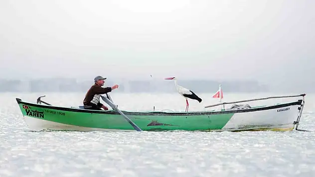 Yaren Leyleğin fotoğrafına uluslararası ödül