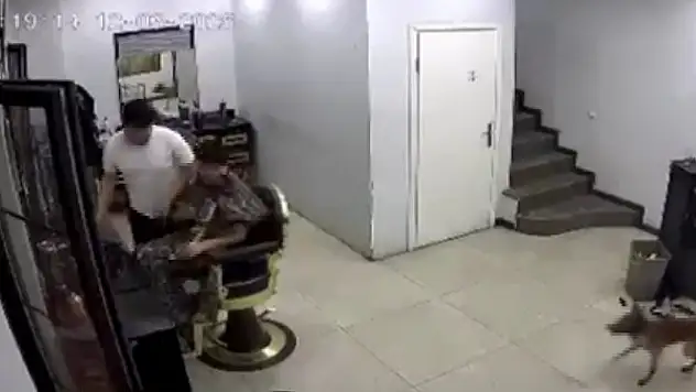 Kuaförde tıraş olan müşteriyi köpek ısırdı
