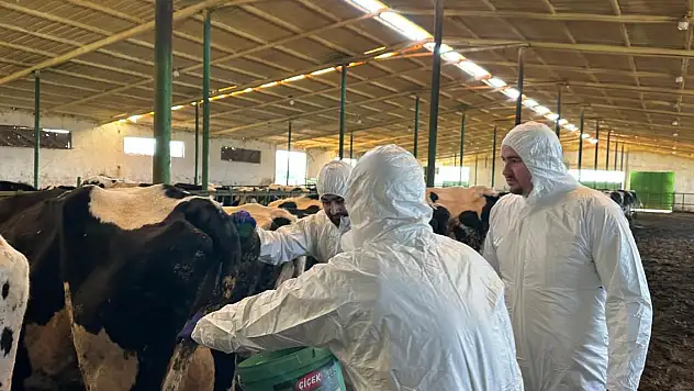 Tüketici sağlığı korunuyor