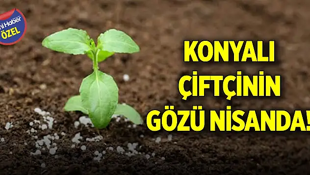 Konyalı çiftçinin gözü nisanda!