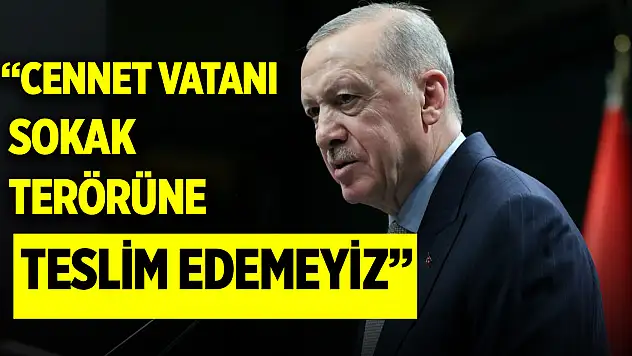 Cumhurbaşkanı Erdoğan: Bu cennet vatanı sokak terörüne teslim edemeyiz