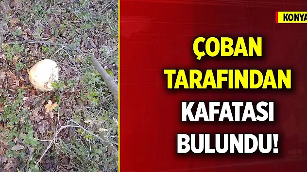 Konya'da çoban tarafından kafatası bulundu!
