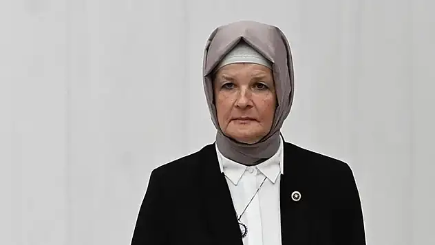 Göka: Türkiye'ye parmak sallayamazsınız!