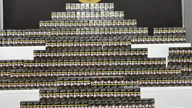 Kaçakçılık operasyonunda 2 zanlı yakalandı