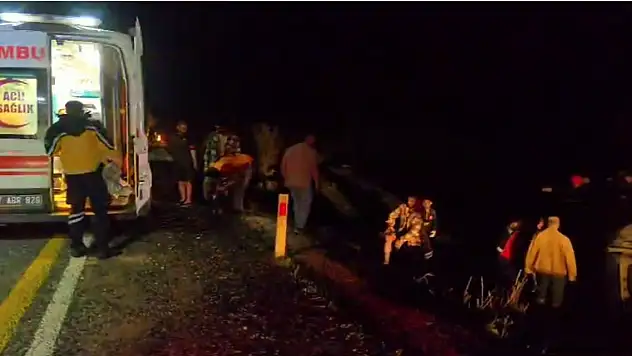 Domuz sürüsü neden oldu! 5 yaralı