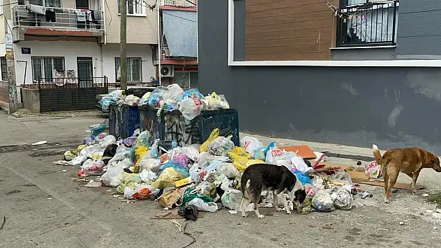 Grev kararı sonrası sokaklarda çöp yığınları oluştu
