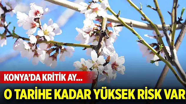 Konya Ovası'nda kritik nisan ayı... O tarihe kadar yüksek risk var