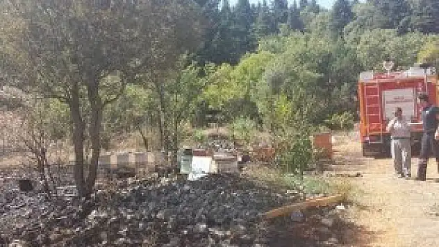 Orman yangını kontrol altında