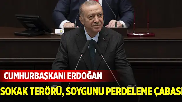 Cumhurbaşkanı Erdoğan: Sokak terörü, soygunu perdeleme çabası