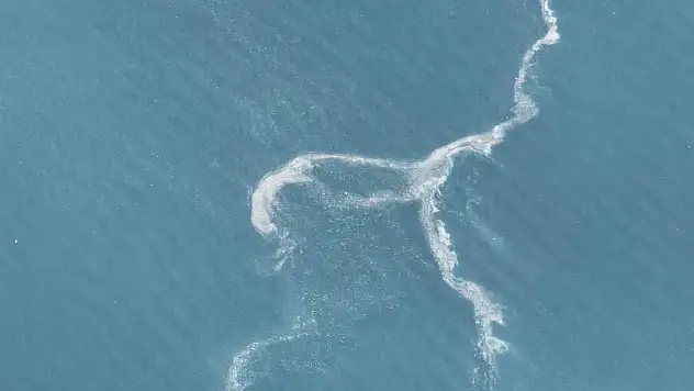 Müsilaj yeniden ortaya çıktı