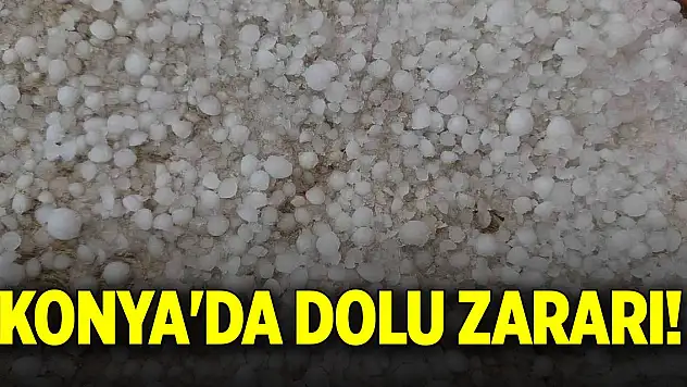 Konya'da dolu zararı!