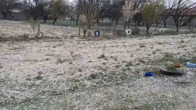 Konya'da çiftçilerin yağış sevinci