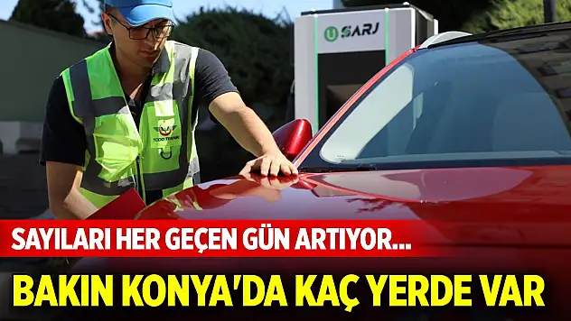 Sayıları her geçen gün artıyor... Bakın Konya'da kaç yerde var