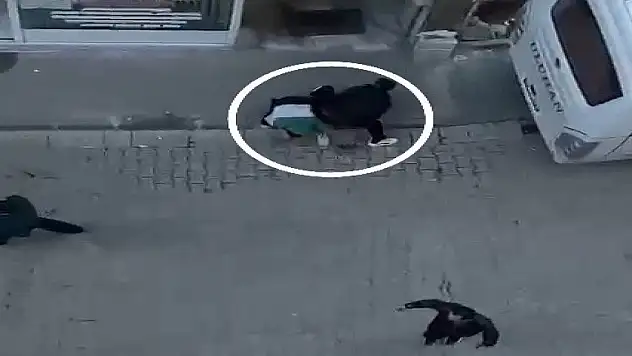 14 yaşındaki çocuğun elinde torpil patladı