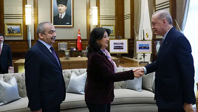 DEM Parti heyeti 13 talepte bulundu iddiasına DMM'den cevap