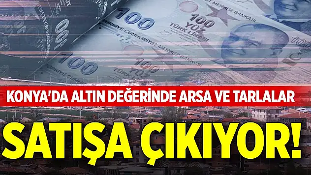 Konya'da altın değerinde arsa ve tarlalar satışa çıkıyor!