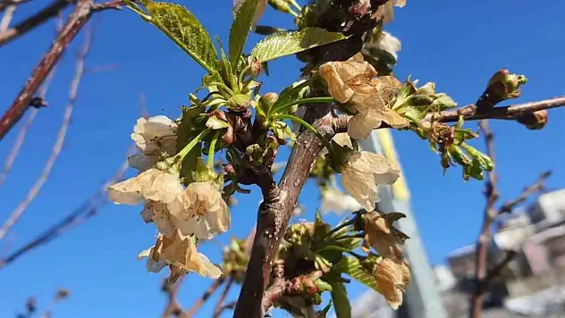 Komisyon toplandı...Konya acı tabloda ilk 10'da!