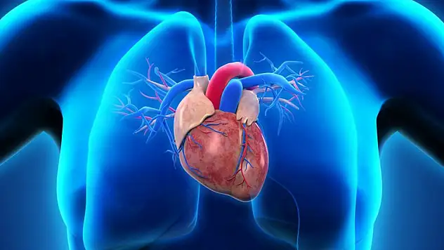 Kalp krizi anında hayat kurtaracak 7 adım