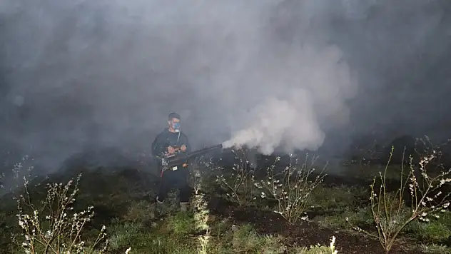 Zirai don fındığı vurdu