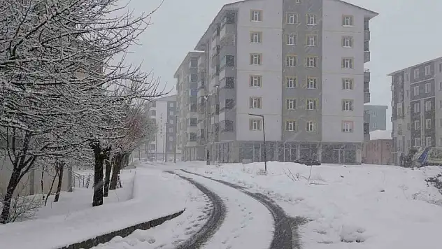 Nisanda lapa lapa kar yağdı