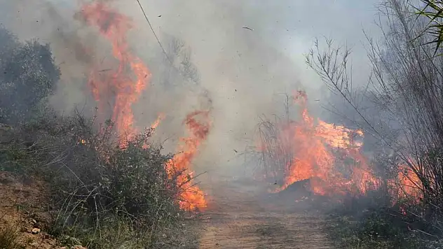 Antalya'nın akciğerlerinde korkutan yangın