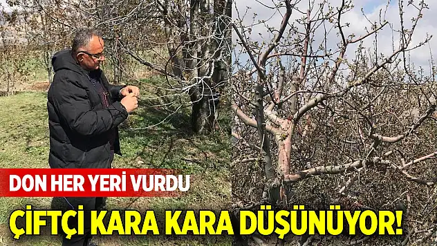 Konya ve 36 ili zirai don vurdu