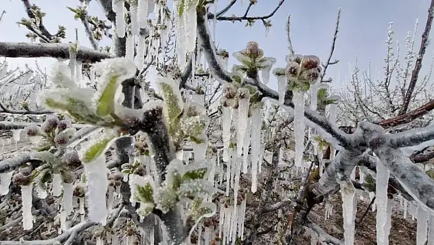 Zirai don önergesi kabul edildi