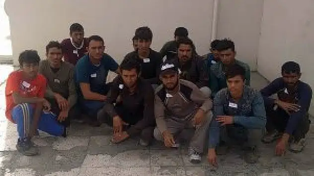 Iğdır'da 17 Afgan kaçak yakalandı