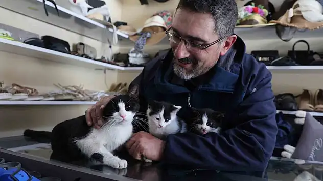 Konya'daki dükkan yavruların yuvaları oldu