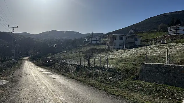 Çoban köpeklerinin saldırdığı yaşlı adam öldü