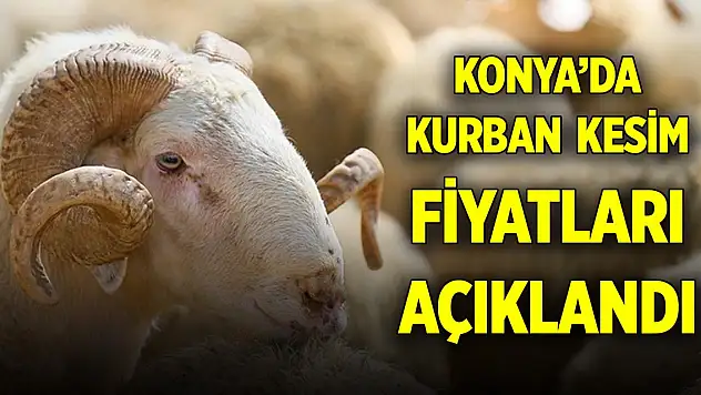 Konya'da 2025 yılı kurban kesim fiyatları açıklandı