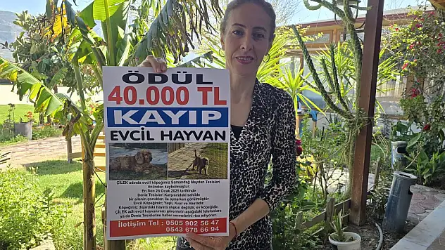 3 aydır kayıp! Bulana 40 bin lira ödül verecek