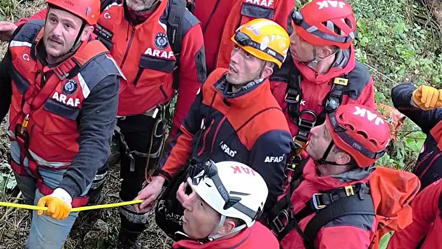 Kestiği ağacın altında kalan muhtar öldü
