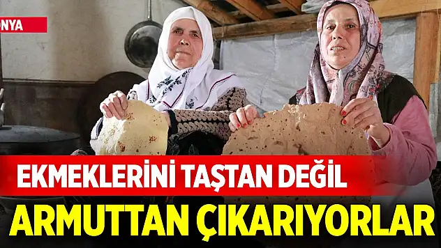 Konya'da ekmeklerini taştan değil armuttan çıkarıyorlar