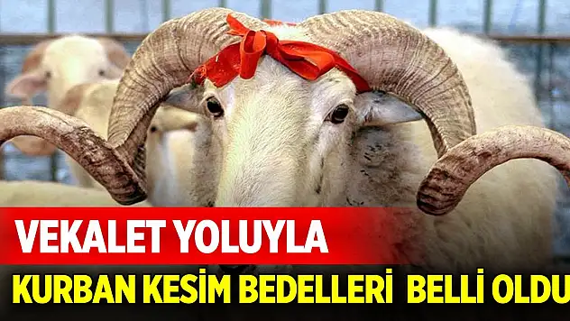 Son Dakika! Vekaletle kurban kesim bedeli açıklandı