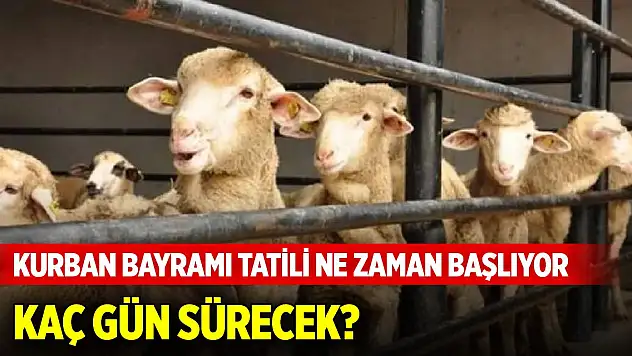 2025 Kurban Bayramı tatili ne zaman başlıyor, kaç gün sürecek? İşte detaylar