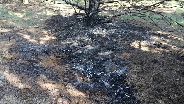 1 haftadır kayıp olarak aranan kadının öldürüldüğü ortaya çıktı