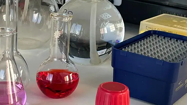 Çörek otu kansere savaş açtı