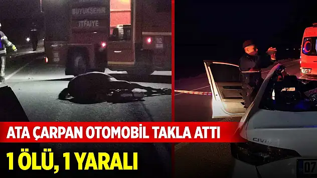 Ata çarpan otomobil takla atarak hurdaya döndü: 1 ölü, 1 yaralı