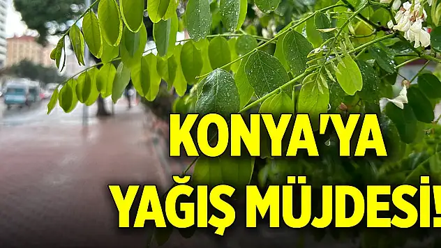 Konya'ya yağış müjdesi!