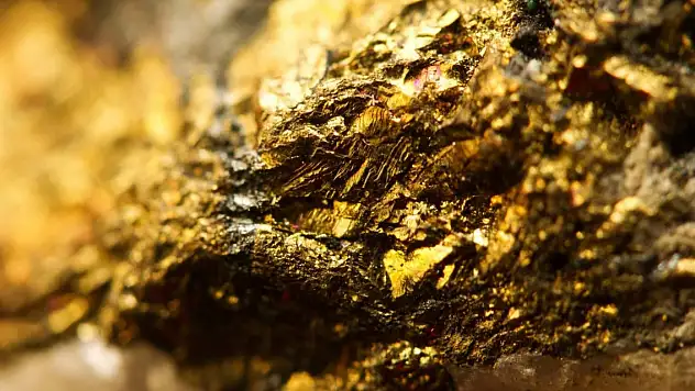 Çiftçinin tarlasında 150 ton altın bulundu