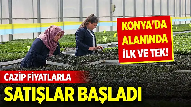 Konya'da alanında ilk ve tek! Cazip fiyatlarla satışlar başladı