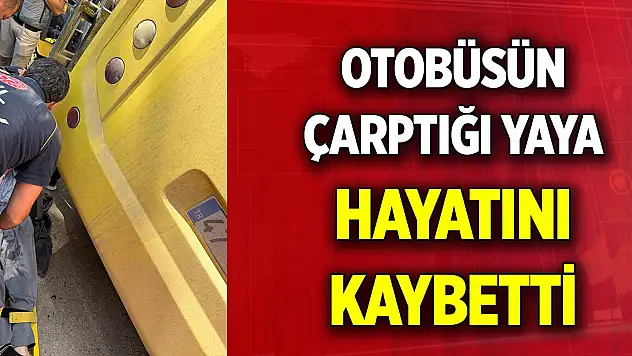 Otobüsün çarptığı yaya hayatını kaybetti