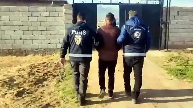 Son Dakika! 433 düzensiz göçmen yakalandı