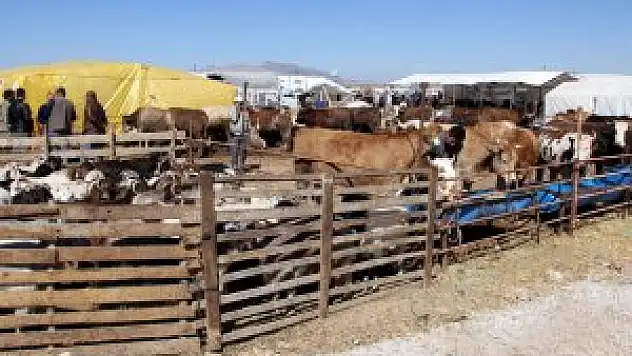 Selçuklu'da kurban satış ve kesim yerleri belli oldu